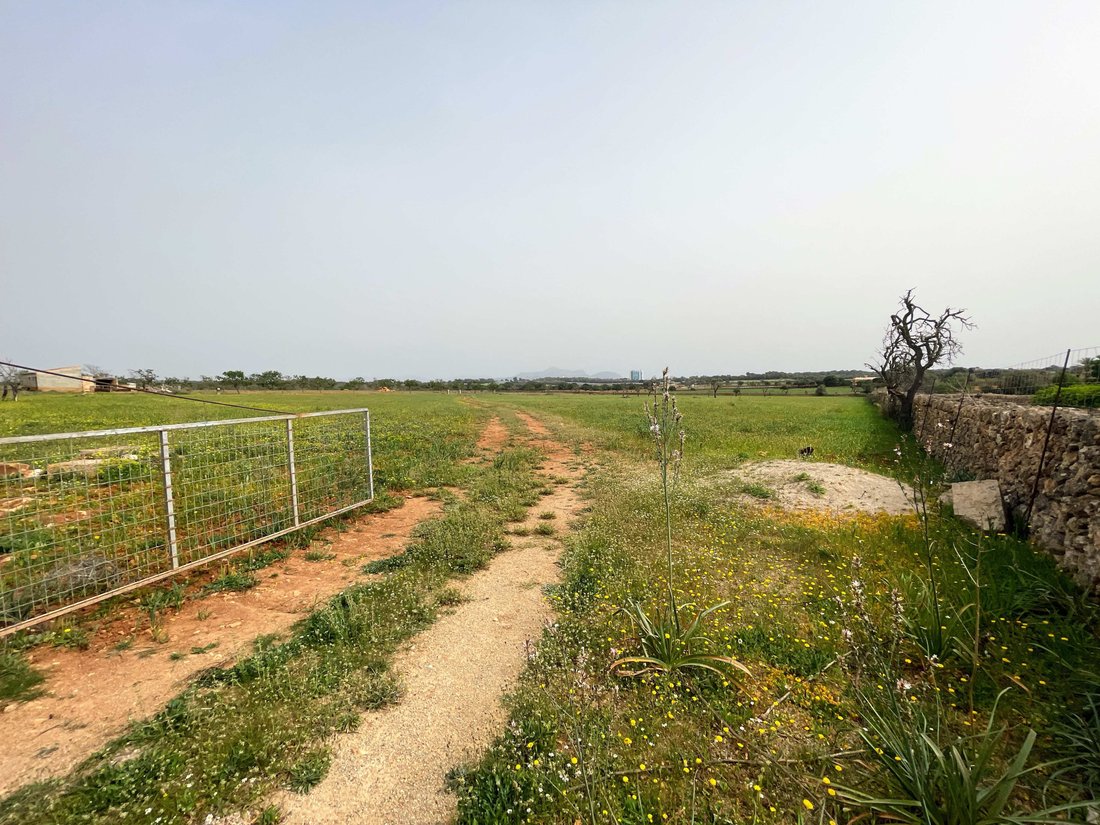 Land in Santa Margalida, Balearic Islands, Spain 3 - 14135288