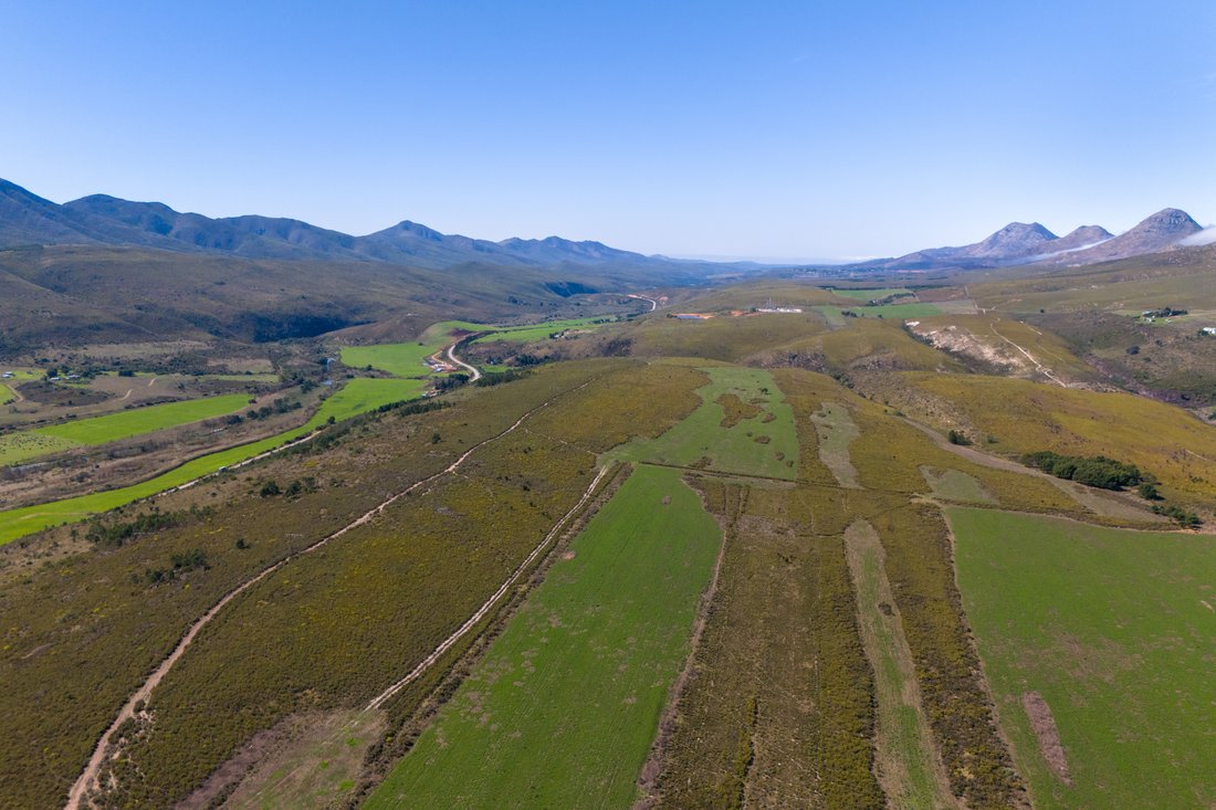 Farm Ranch in Humansdorp, Eastern Cape, South Africa 3 - 14135578