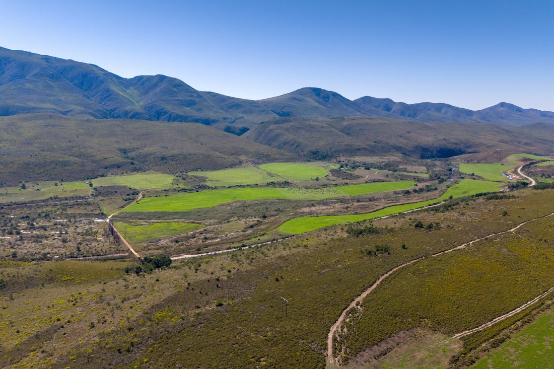 Farm Ranch in Humansdorp, Eastern Cape, South Africa 4 - 14135578