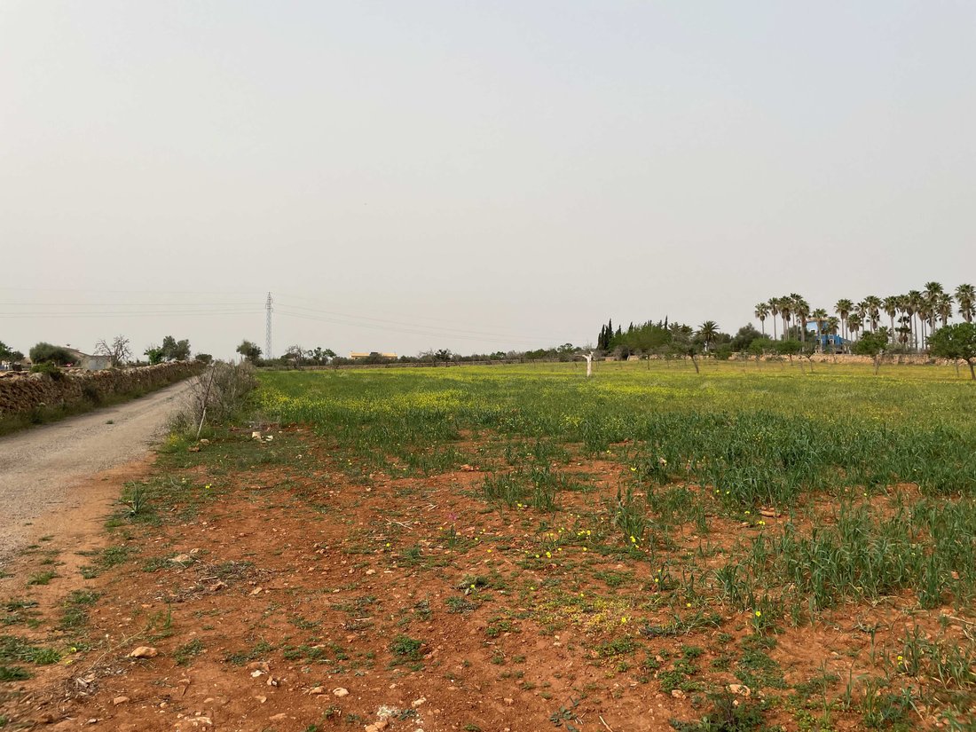 Land in Santa Margalida, Balearic Islands, Spain 4 - 14135288