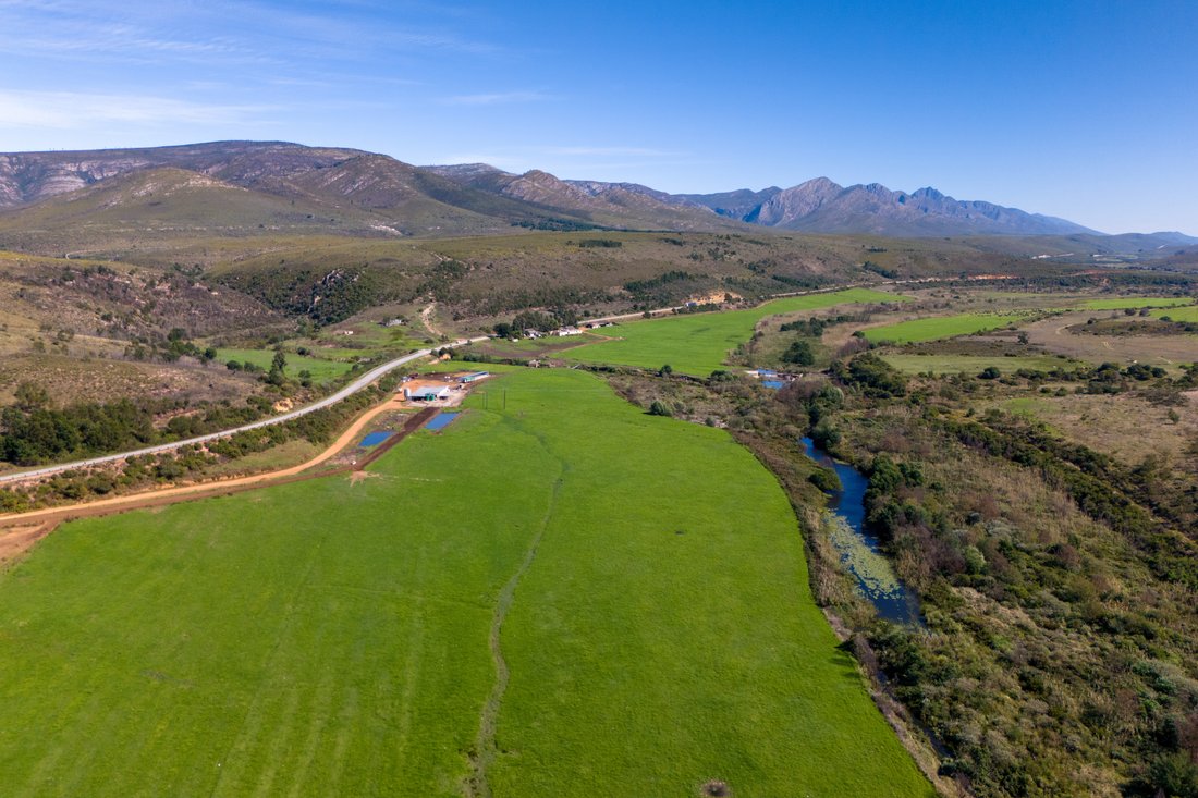 Farm Ranch in Humansdorp, Eastern Cape, South Africa 1 - 14135578