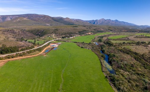 Azienda agricola a Humansdorp, Capo Orientale, Sudafrica 1