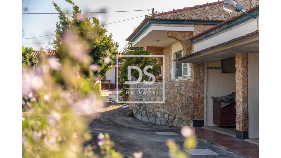Farm Ranch in Ericeira, Lisbon, Portugal 4 - 14135510