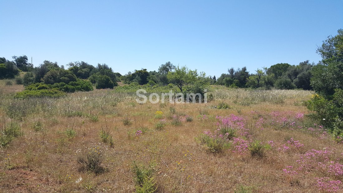 Land in Armacao de Pera, Algarve, Portugal 5 - 11344364