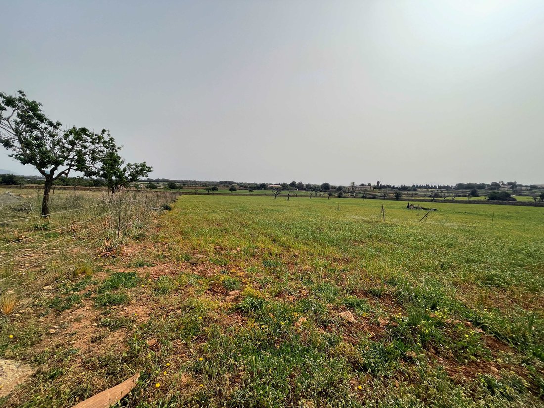 Land in Santa Margalida, Balearic Islands, Spain 1 - 14135288