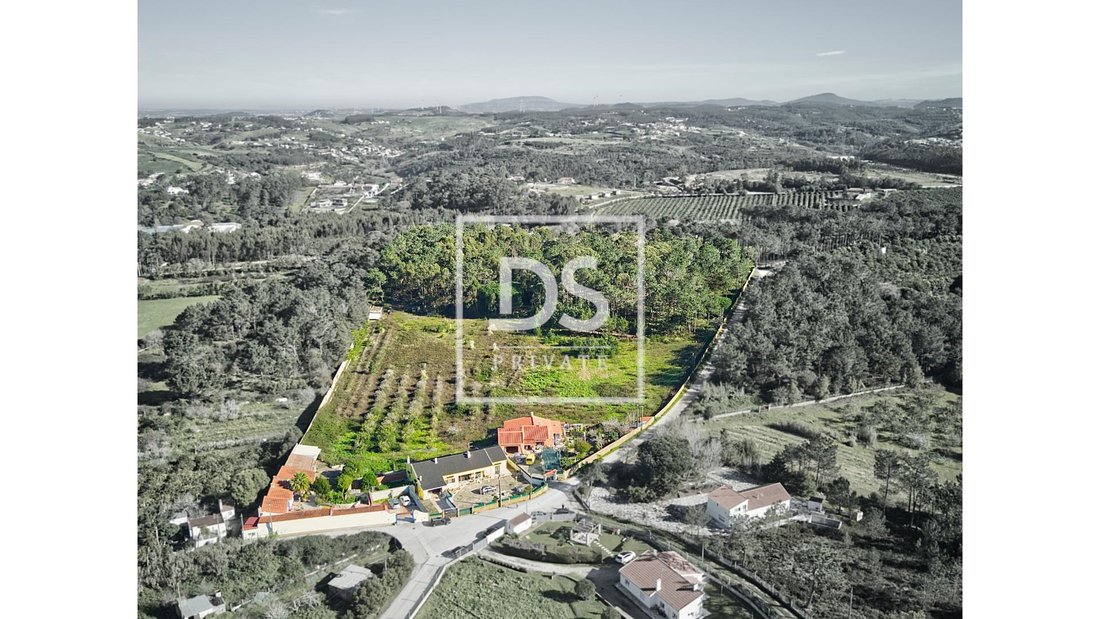 Farm Ranch in Ericeira, Lisbon, Portugal 3 - 14135510