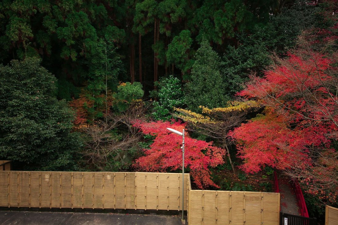 Land in Kyoto, Kyoto, Japan 2 - 14134271