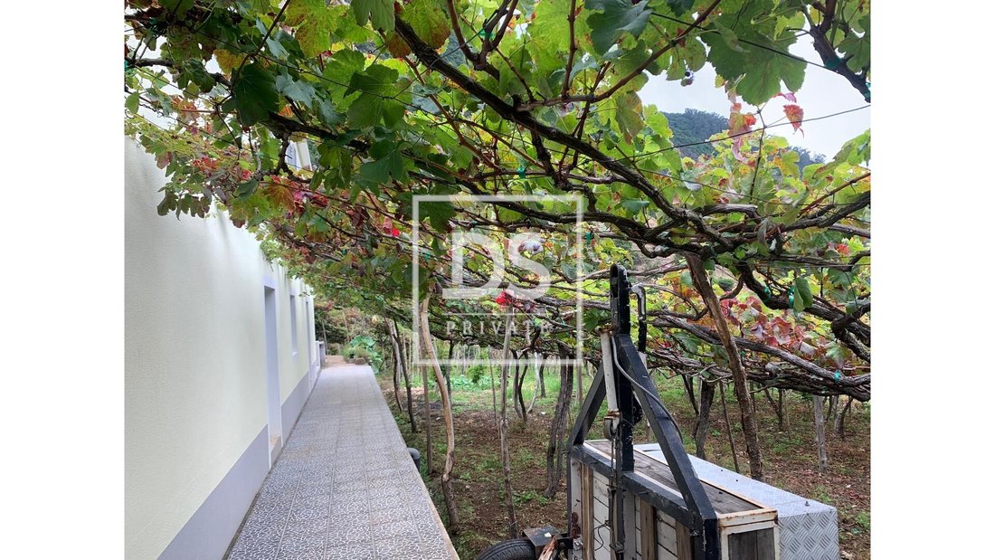 Villa in Ponta Delgada, Madeira, Portugal 3 - 14135414