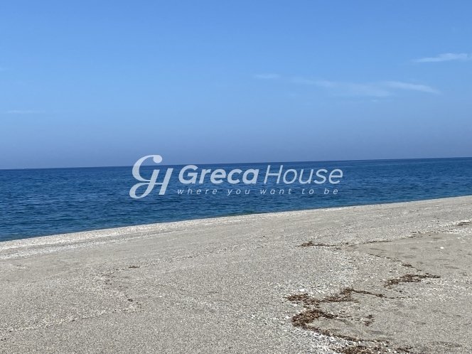 Land in Kymi - Aliveri Anna, Thessaly and Central Greece, Greece 4 - 13105884