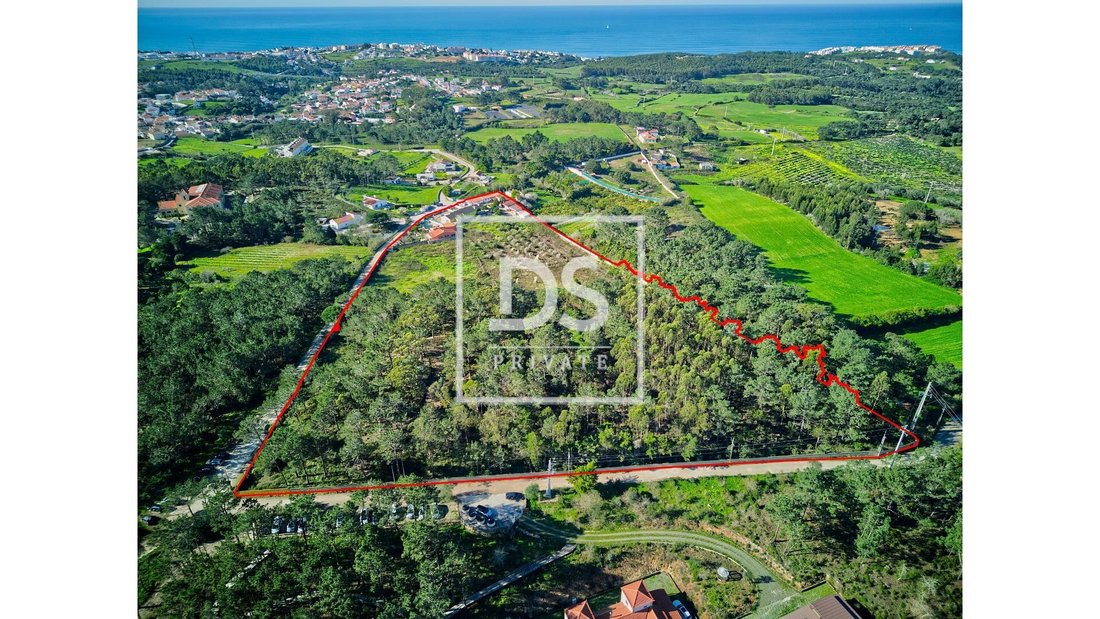 Farm Ranch in Ericeira, Lisbon, Portugal 1 - 14135510