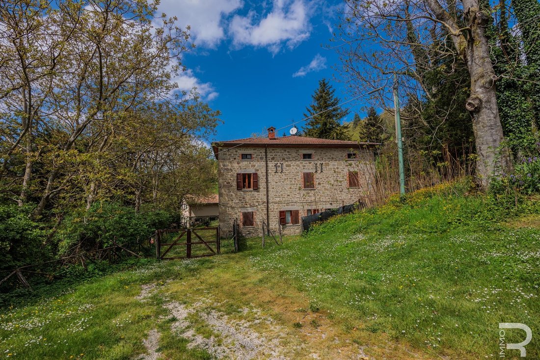 Farm Ranch in Pieve Santo Stefano, Tuscany, Italy 4 - 14140126