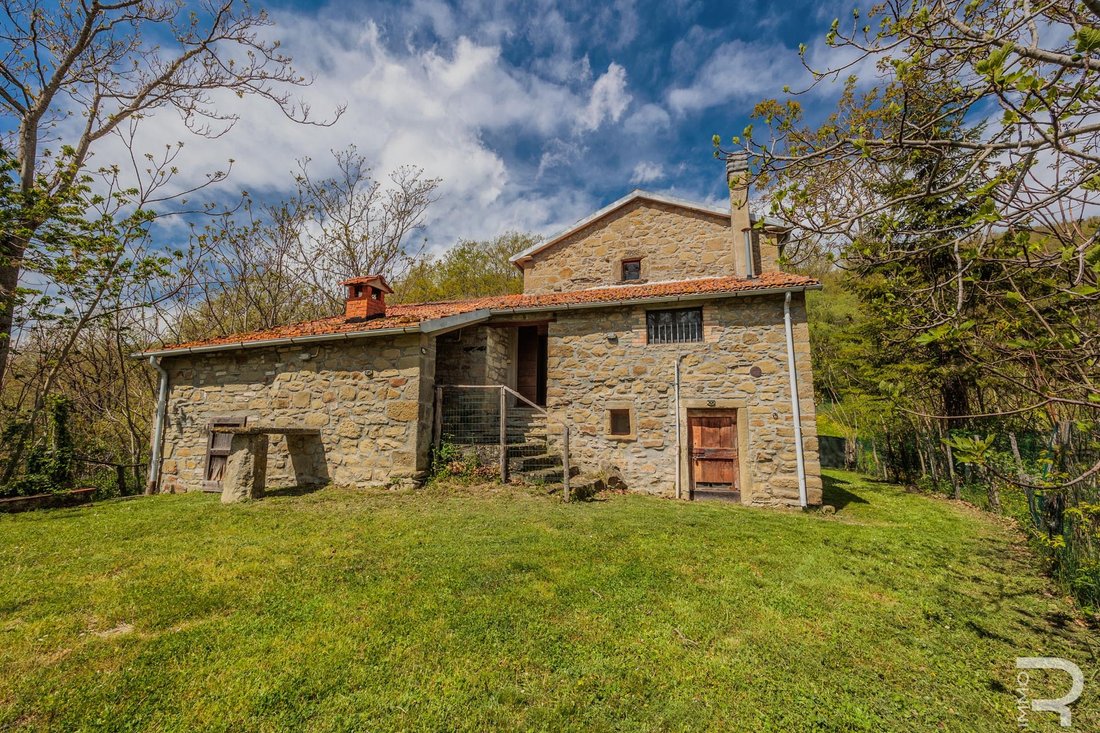 Farm Ranch in Pieve Santo Stefano, Tuscany, Italy 5 - 14140126
