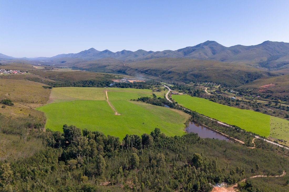Farm Ranch in Kareedouw, Eastern Cape, South Africa 5 - 14143025
