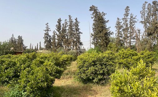 Land in Medina, Marrakesch-Safi, Marokko 1