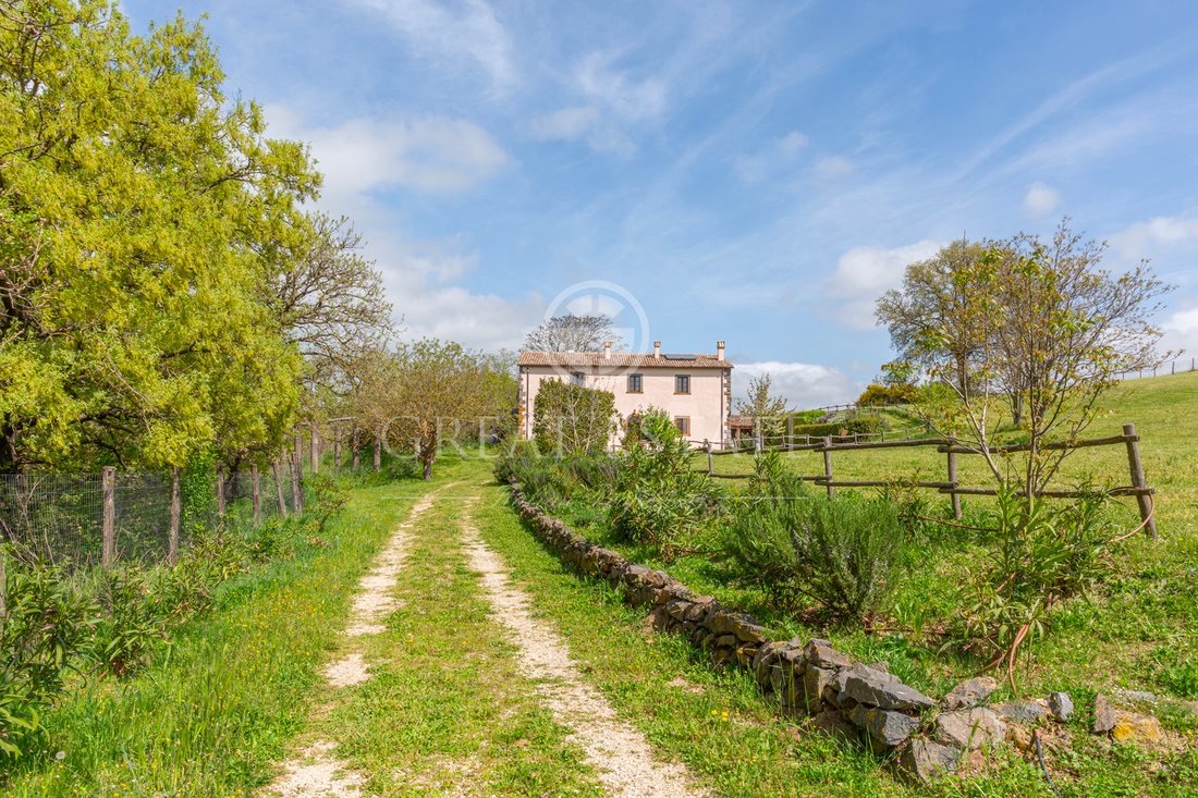 Finca en Civita di Bagnoregio, Lacio, Italia 4 - 14142947