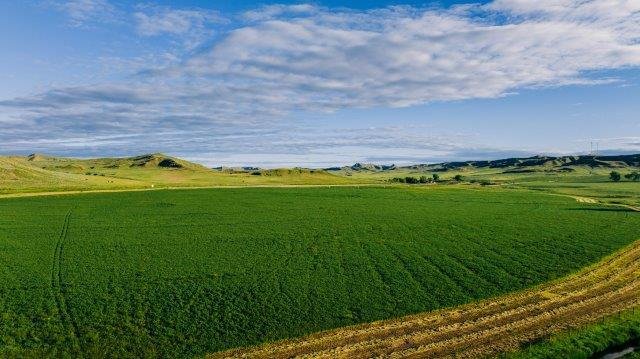 Farm Ranch in Clearmont, Wyoming, United States 5 - 14141071