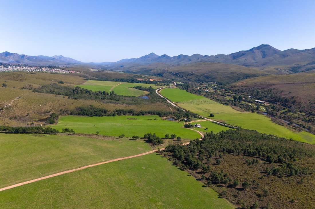 Farm Ranch in Kareedouw, Eastern Cape, South Africa 4 - 14143025