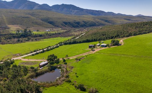 Farm Ranch in Kareedouw, Eastern Cape, South Africa 1