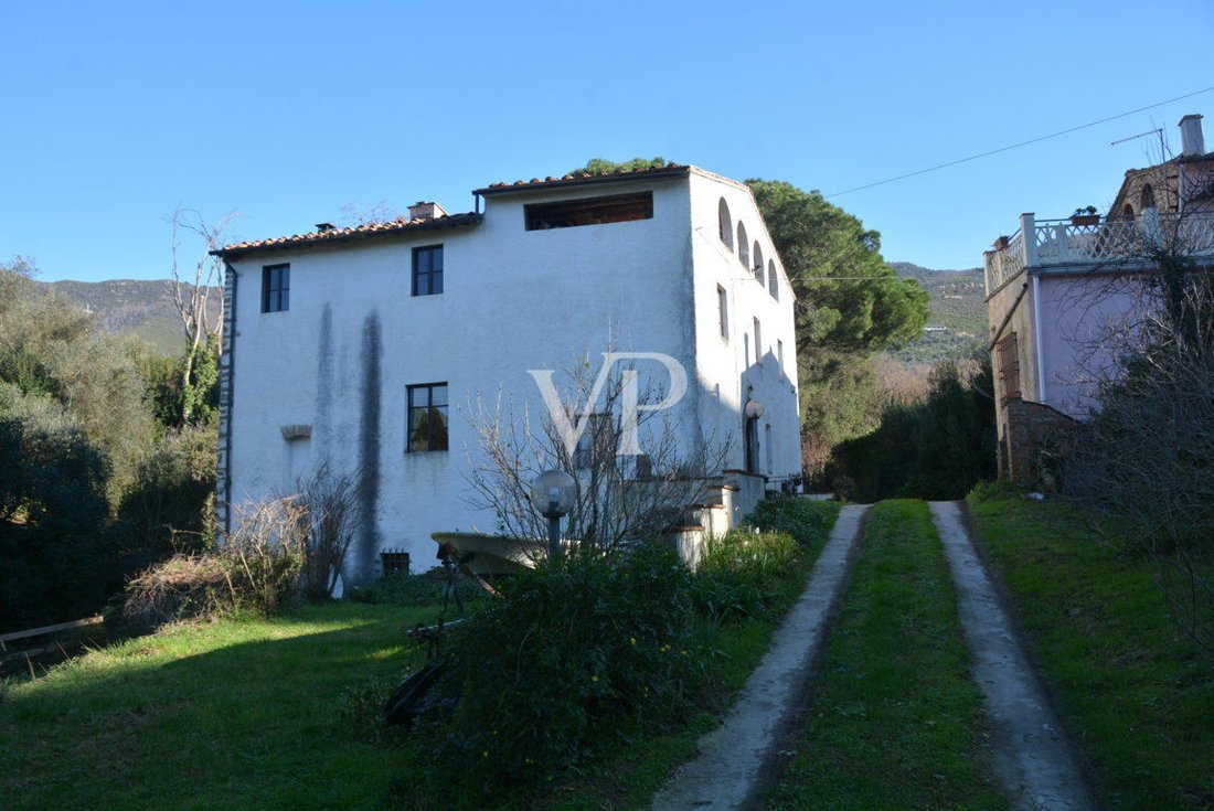 Townhouse in Calci, Tuscany, Italy 5 - 14142959