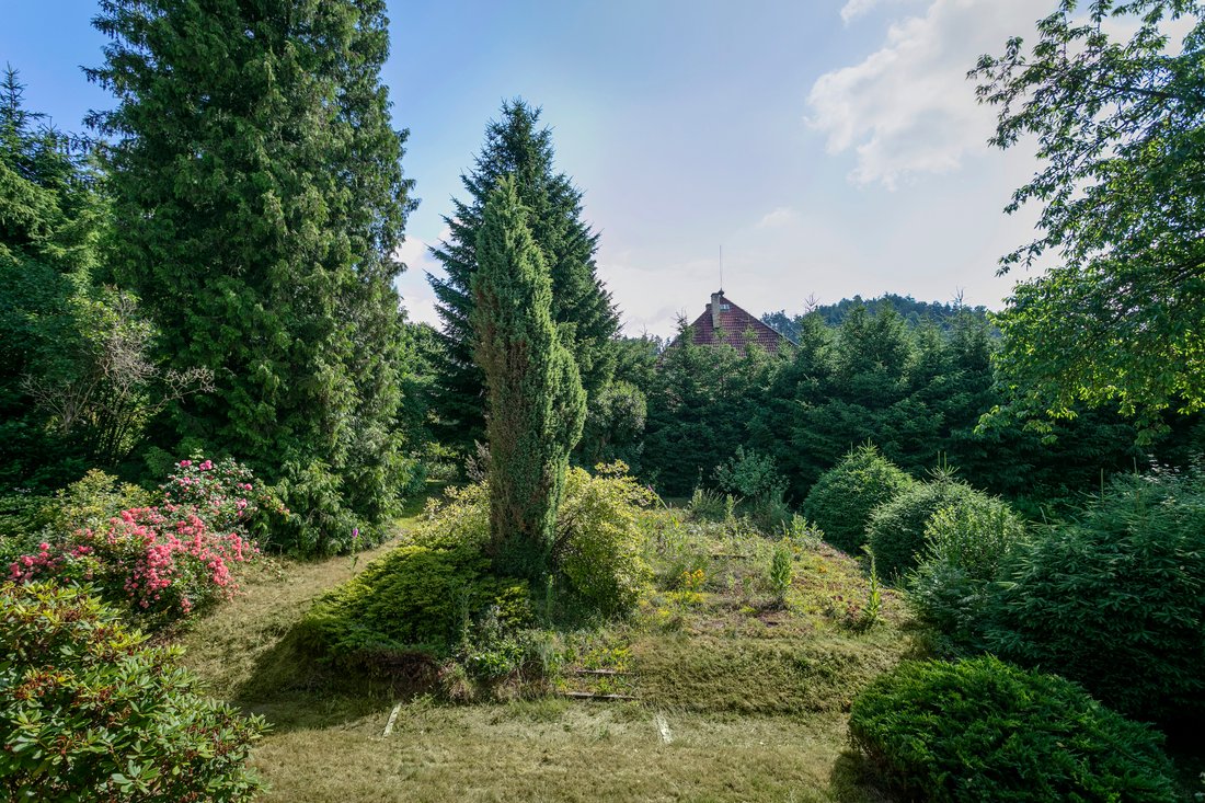 Land in Nespeky, Central Bohemian Region, Czechia 5 - 14148570