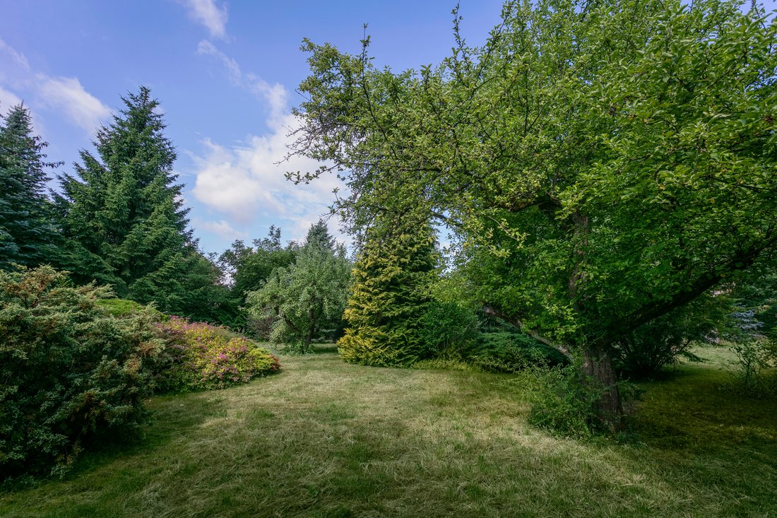 Land in Nespeky, Central Bohemian Region, Czechia 3 - 14148570