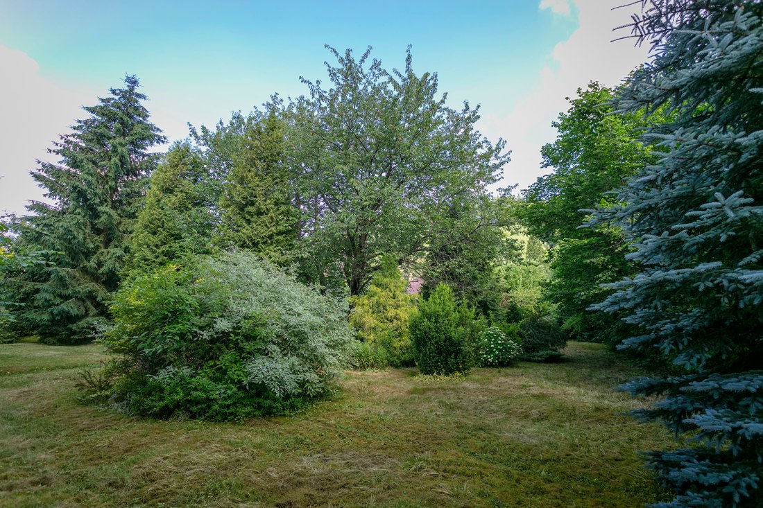 Land in Nespeky, Central Bohemian Region, Czechia 4 - 14148570