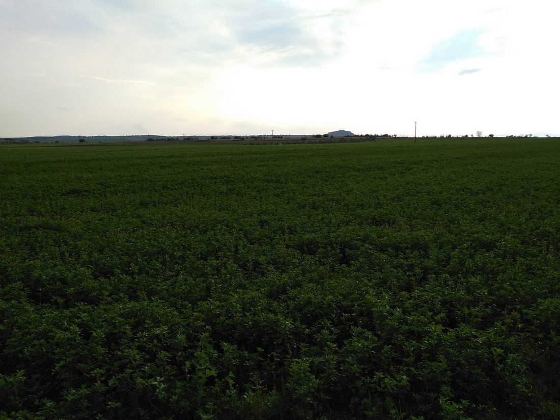 Land in Palaiokastrou, Ayios Georgios Tymfristos, Thessaly and Central Greece 1 - 14150816