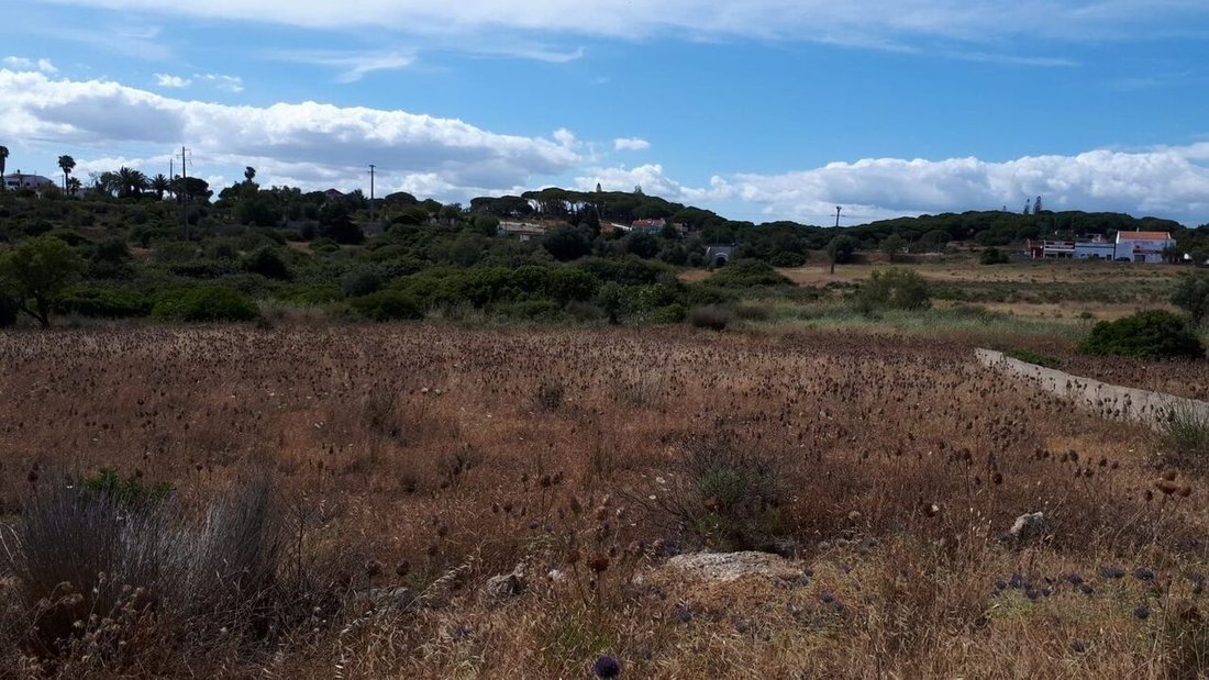Land in Porches, Algarve, Portugal 4 - 14164378