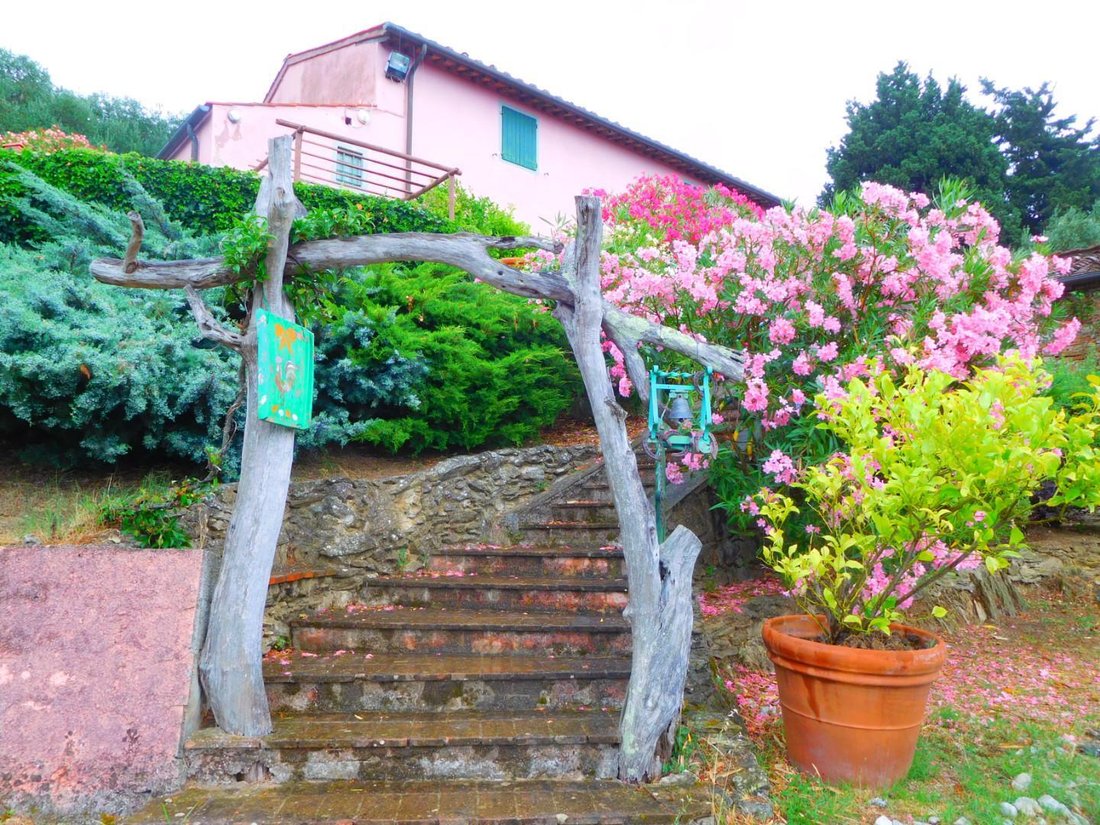 Rigoli, Tuscany, Italy 4 - 14157777