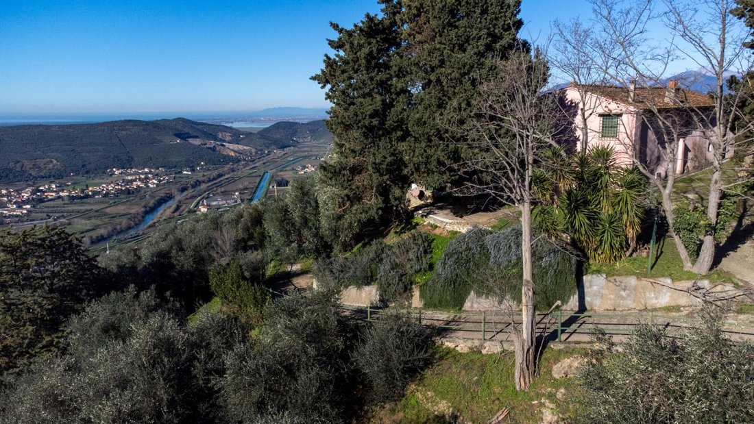 Rigoli, Tuscany, Italy 1 - 14157777