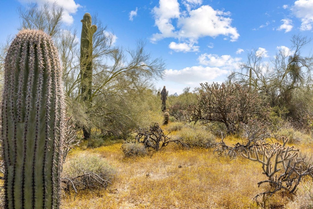 Land in Scottsdale, Arizona, Vereinigte Staaten 3 - 14160642