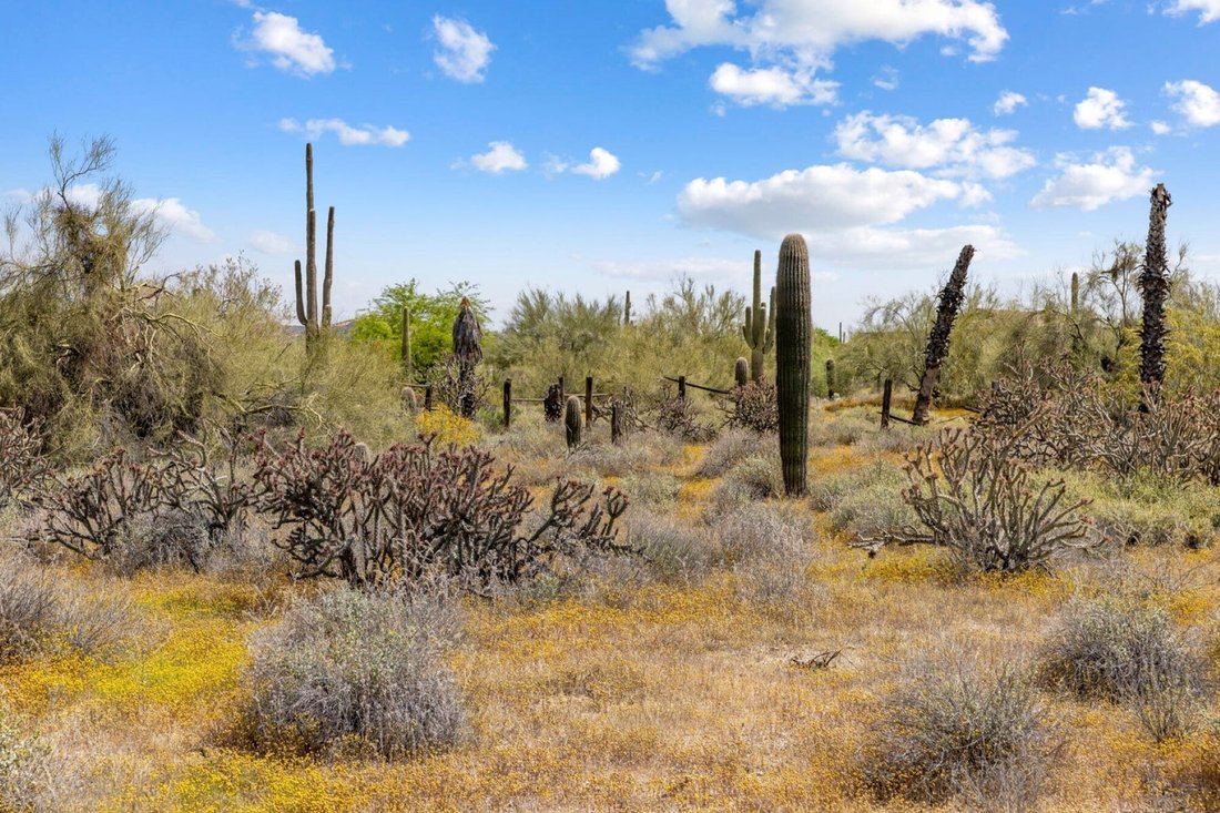 Land in Scottsdale, Arizona, Vereinigte Staaten 5 - 14160642