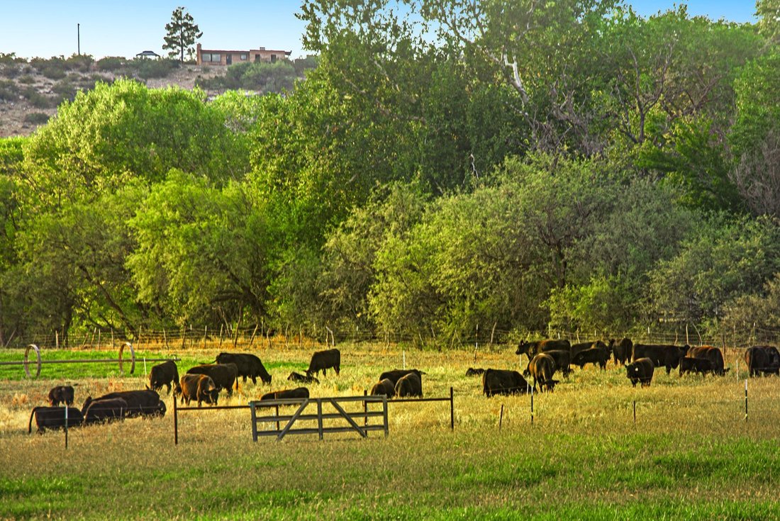 House in Cornville, Arizona, United States 5 - 14160728