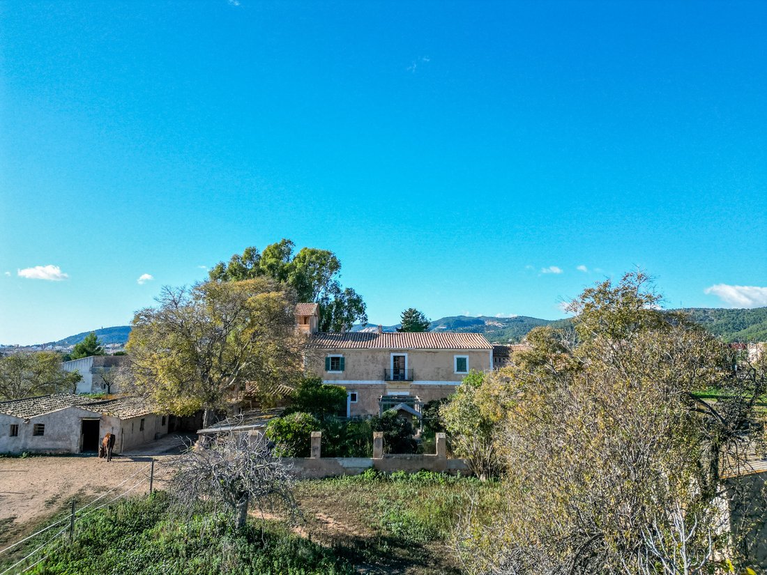 Country House in Palma, Balearic Islands, Spain 5 - 13344138