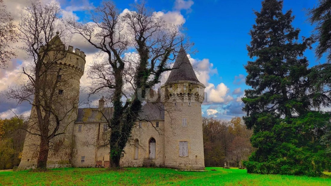 House in Grossouvre, Centre-Val de Loire, France 2 - 13560970