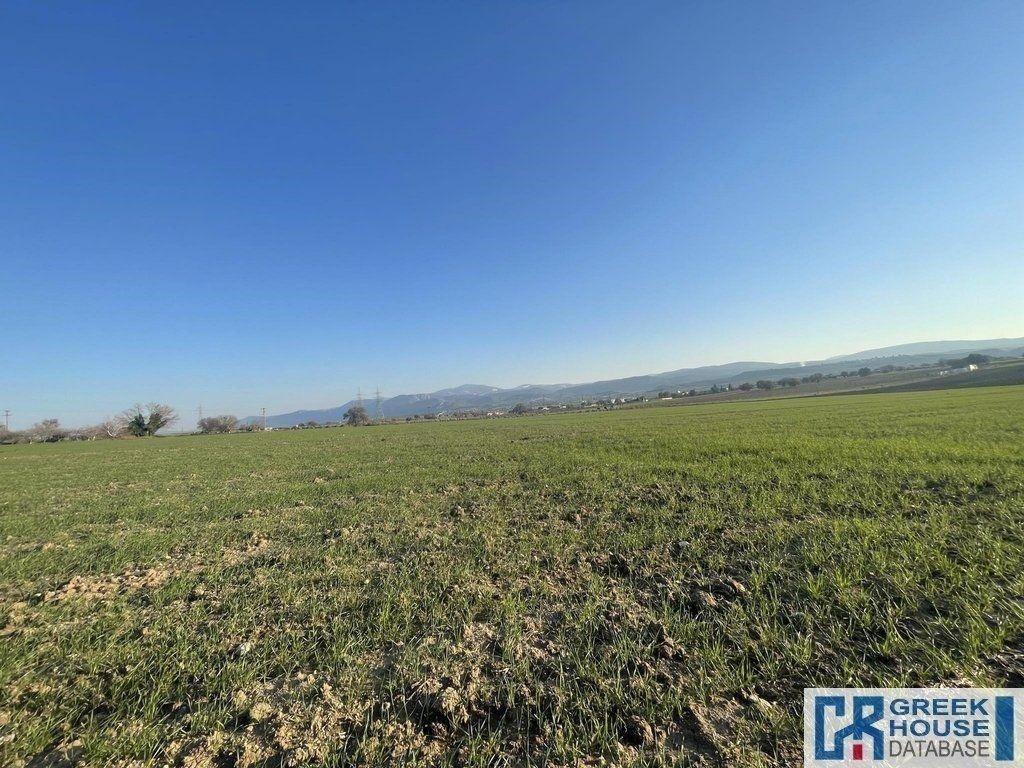 Land in Koinotita Oinophuton, Inofyta, Greece 2 - 14169335