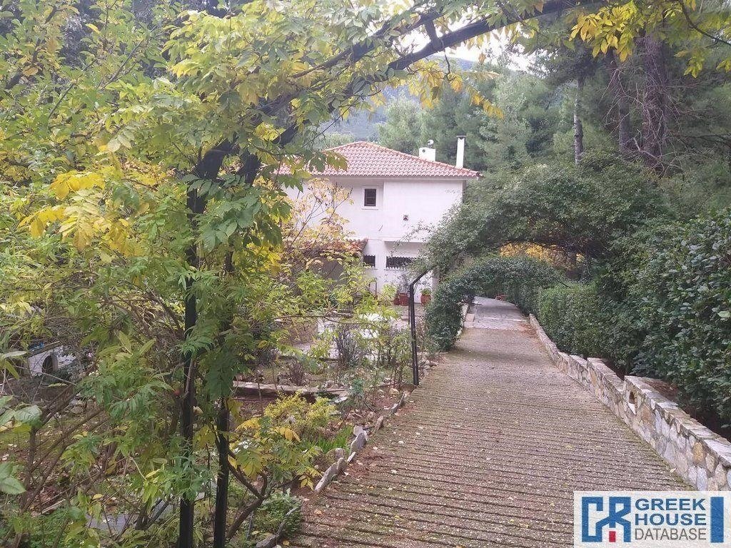 House in Dionysos, Attica, Greece 1 - 14169216