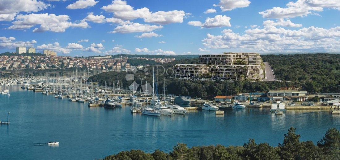 Apartment in Pjescana Uvala, Istria County, Croatia 3 - 14167243