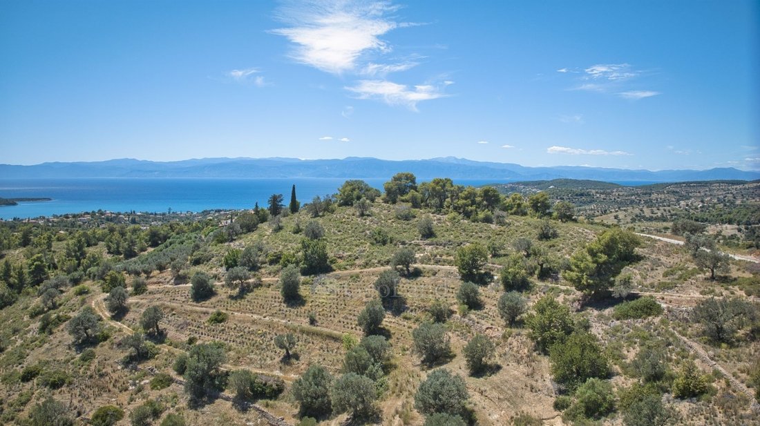 Land in Koinotita Kranidiou, Kranidi, Greece 3 - 14168459