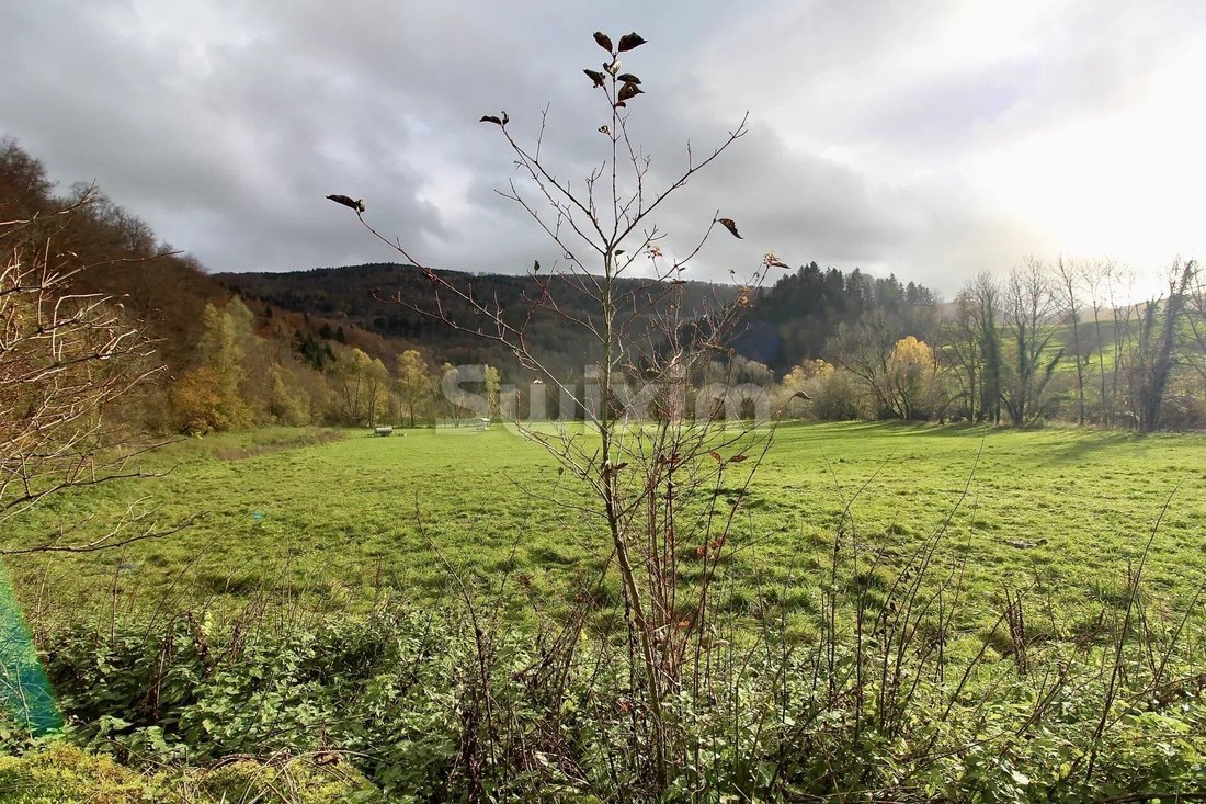 House in Saint-Hippolyte, Bourgogne – Franche-Comté, France 1 - 13900844