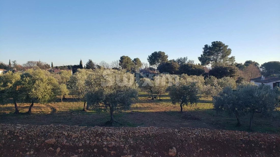 House in Flayosc, Provence-Alpes-Côte d'Azur, France 3 - 13751073