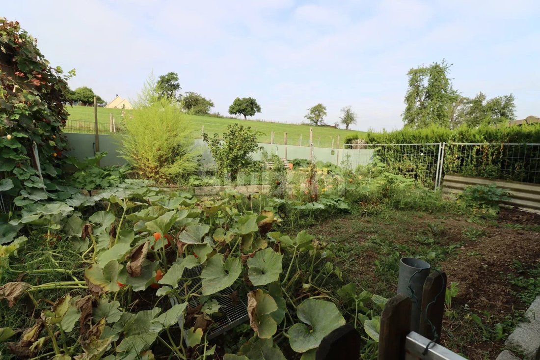 House in Ruederbach, Grand Est, France 5 - 13900803