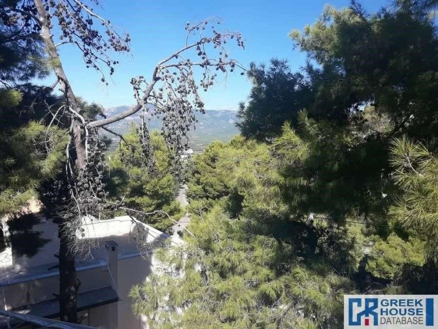 House in Kifisia, Attica, Greece 5 - 14169243