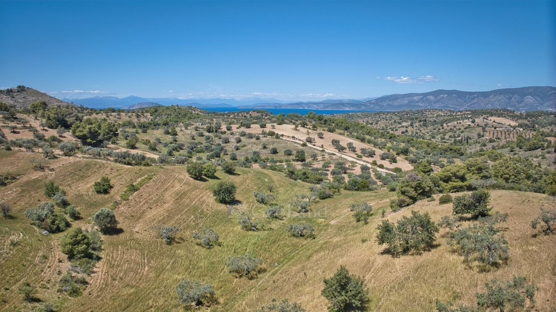 Land in Koinotita Kranidiou, Kranidi, Greece 5 - 14168468