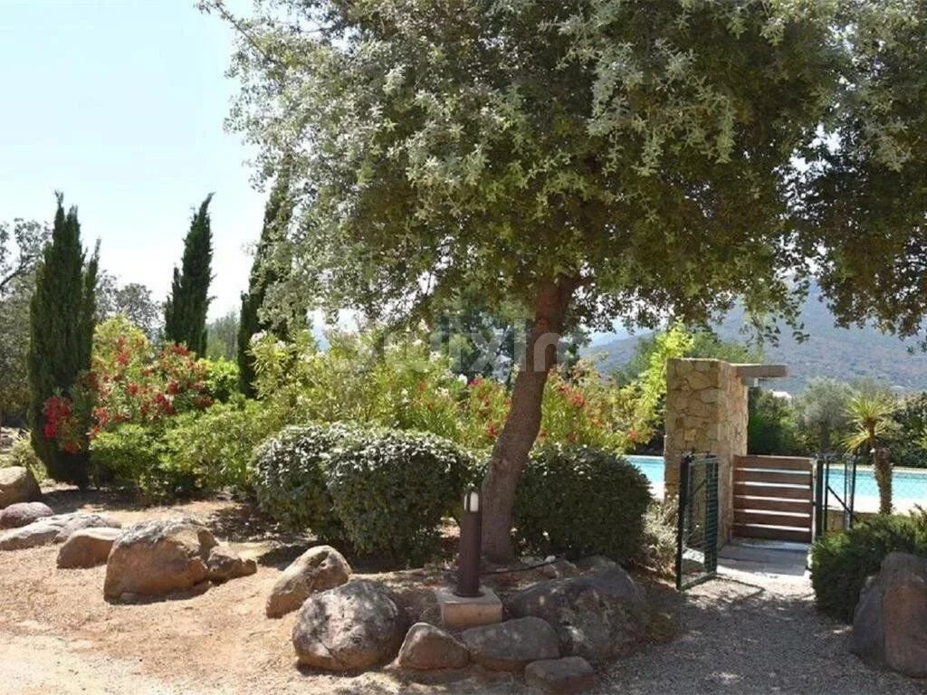 Belgodere, Corsica, France 3 - 13393057
