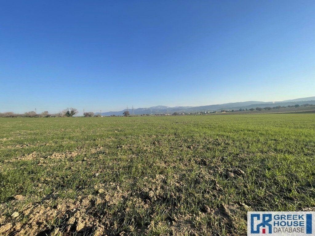 Land in Koinotita Oinophuton, Inofyta, Greece 1 - 14169335