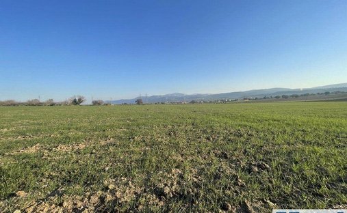 Land in Koinotita Oinophuton, Inofyta, Greece 1