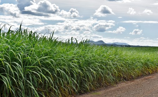 Azienda agricola a Inyoni, Mpumalanga, Sudafrica 1