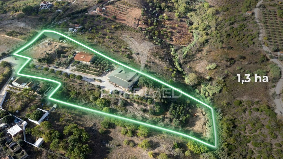 Land in Alenquer (Santo Estevao e Triana), Lisbon, Portugal 1 - 14177202