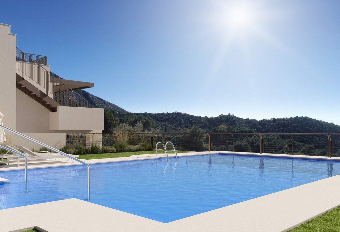 Apartment in Ciudad Jardin (District), Malaga, Spain 3 - 13633800